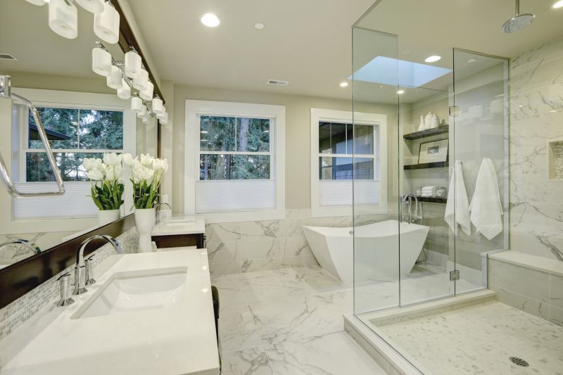 Luxurious Bathtub and Shower Combo